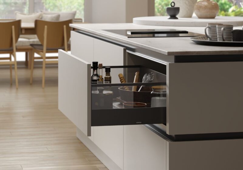 Novus_setosa_painted_pebble