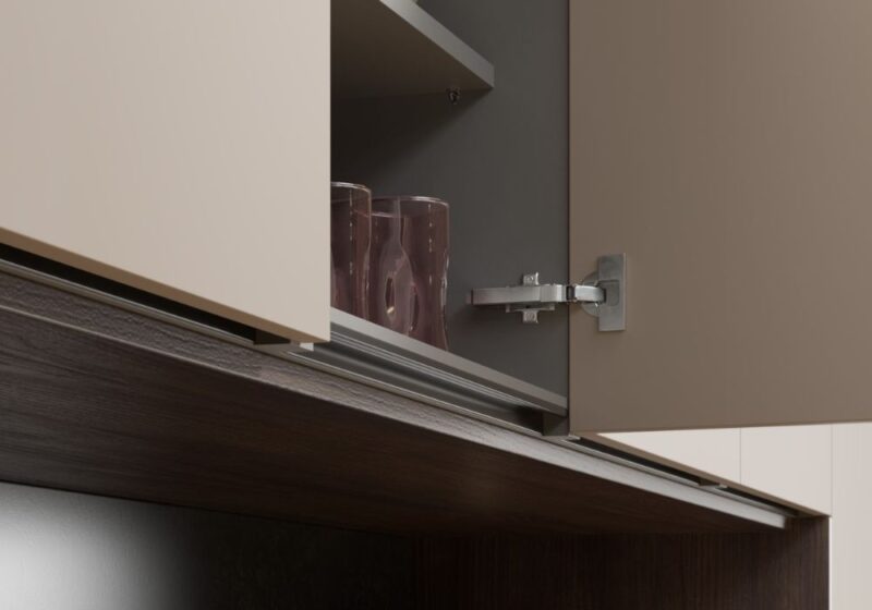 Novus_setosa_painted_pebble